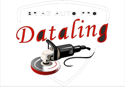 Briaz Auto Pro